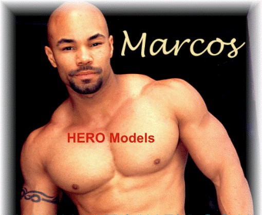 house call stripper - The Sexxiest Exotic Party Entertainment Featuring HERO's Hottest Male & Female Erotic Dancers - Strippers Dancers - Strippers in Bachelorette Party Ideas